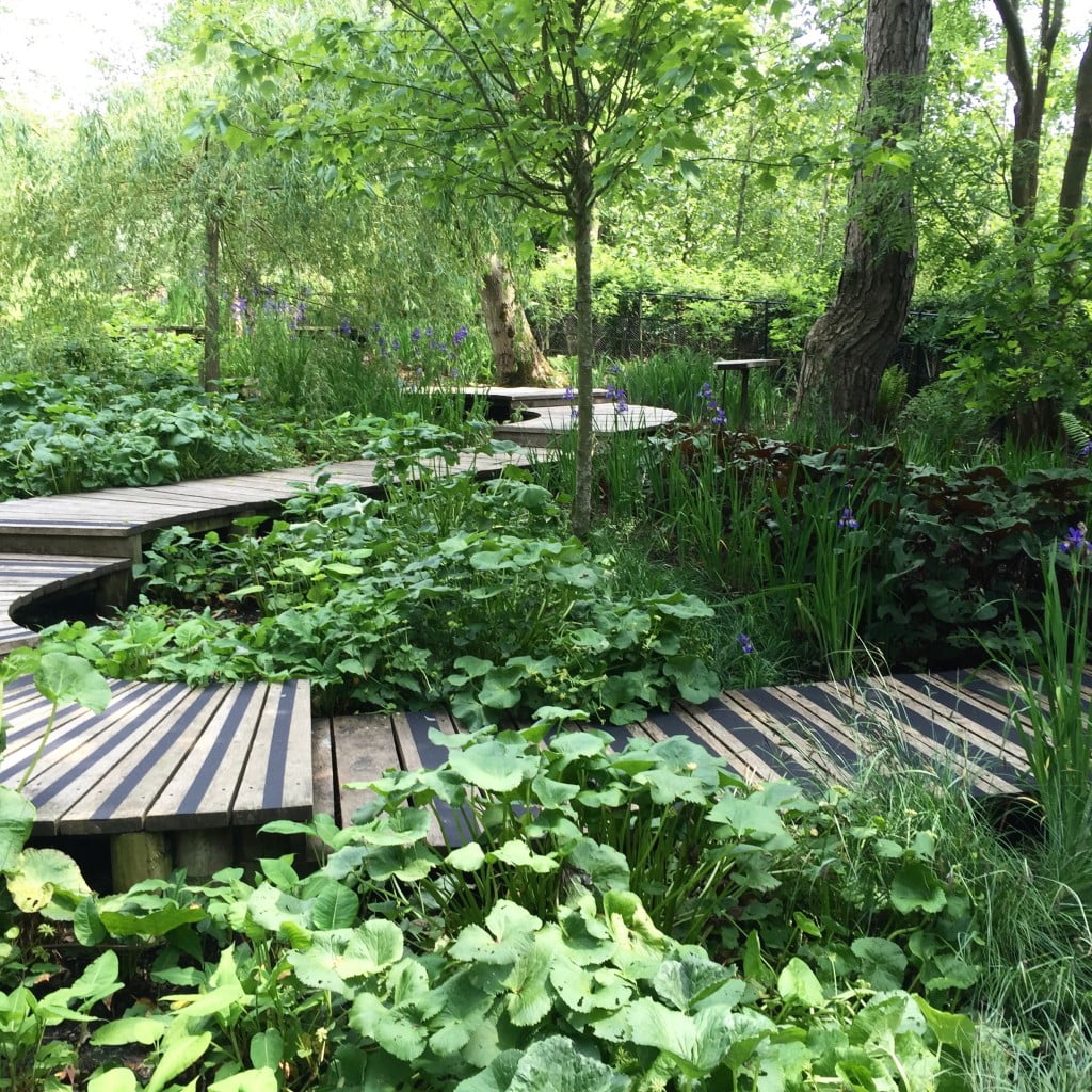 Boardwalk over bog garden by Jo Alderson Phillips - Jo Alderson Phillips