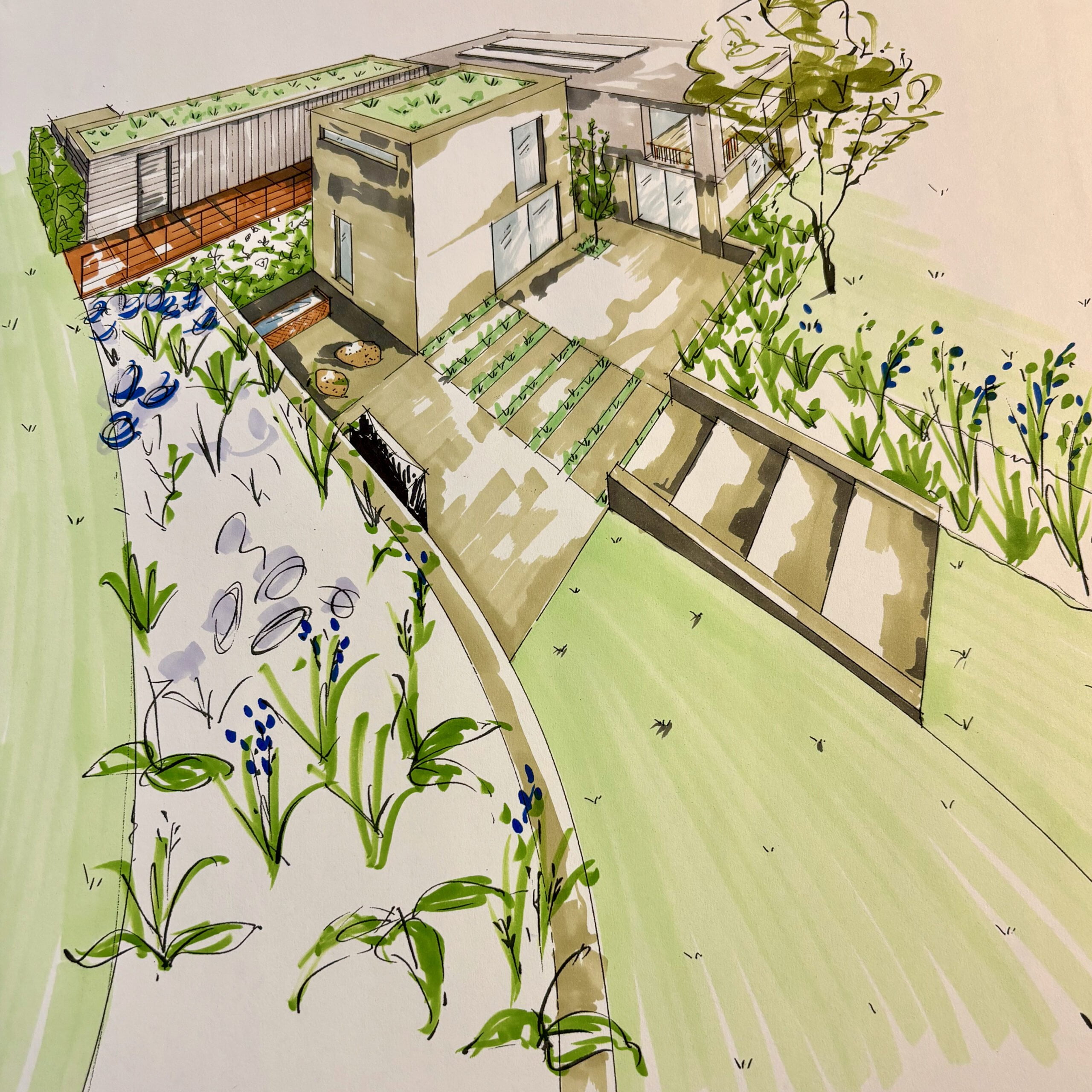 architectural garden sketch by jo Alderson Phillips www.joannealderson.com